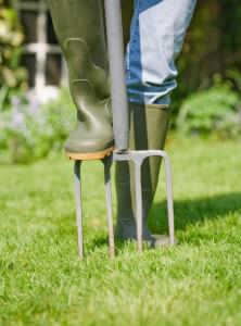 Woman gardener aerates garden lawn with a fork