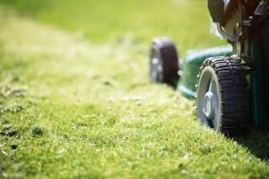 Mowing or cutting the long grass with a green lawn mower in the summer sun